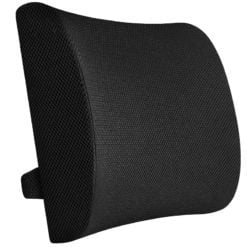 GreenLeaf Memory Foam Back Support Cushion