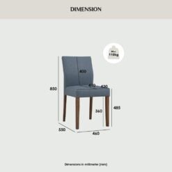Bragg Ladee Dining Chairs, Set of 2, Steel Blue Dimensions