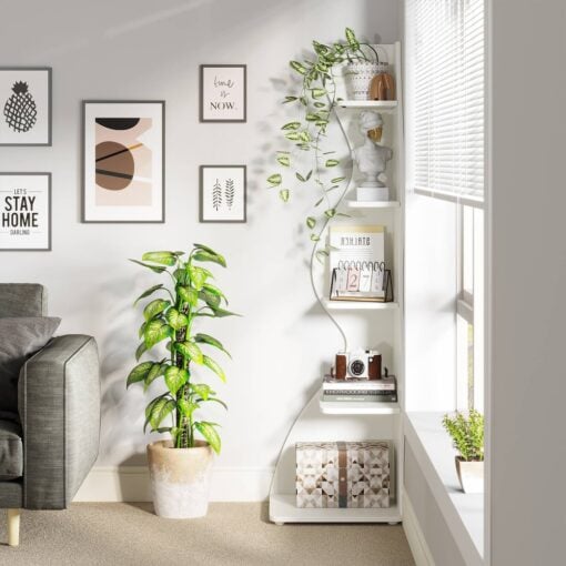 Bragg Malibu 5-Tier Wavy Corner Display Shelf, White